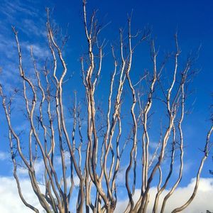 Meet your Posher, Sally